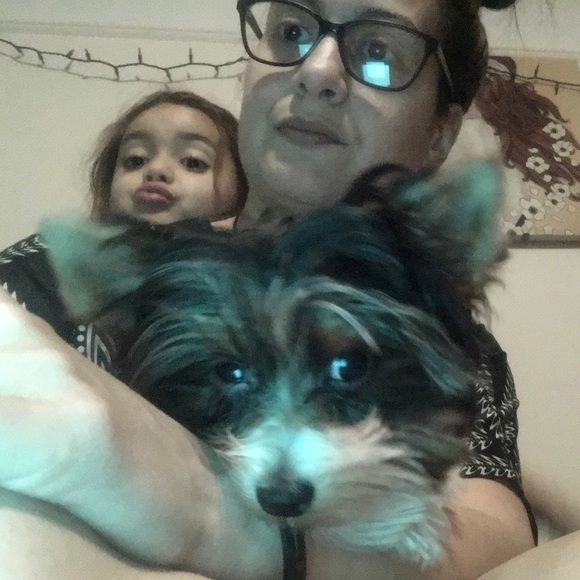 Meet your Posher, Sam - Picture 1 of 1